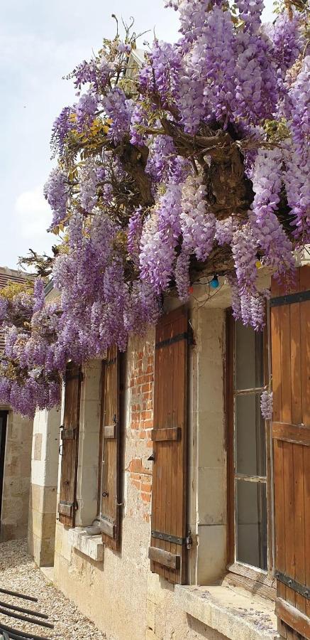 La Maison De Frederic Vila Francueil Exterior foto